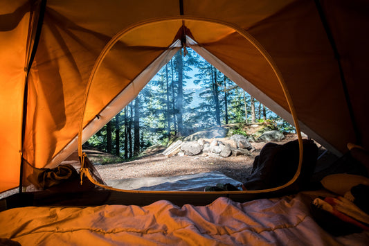 The Importance of Diversity and Inclusion in the Great Outdoors